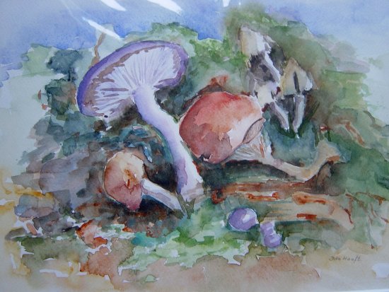 Mushrooms