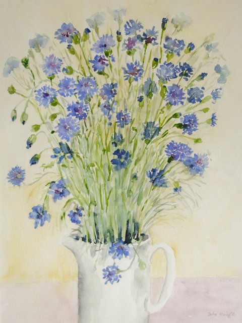 Cornflowers