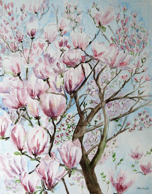Magnolia