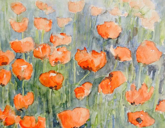Poppies 2