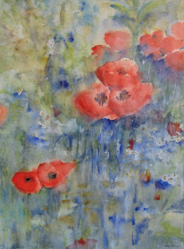 Poppies 3
